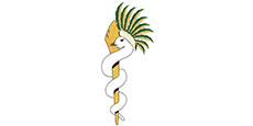Tribal Health Initiative